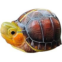 【動物の惑星】レア★上海展覧会非売品!記念品トウブハコガメ! フィギュア 動物の惑星】レア☆上海展覧会非売品!記念品トウブハコガメ