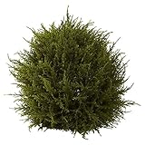 Nearly Natural 4950 Cedar Decorative Sphere, 14-Inch, Green [並行輸入品]