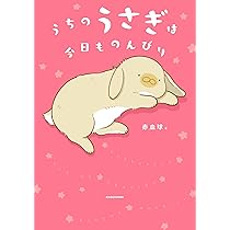 ももうさぎページ うさぎのきもちVOL.7 ([バラエティ]) | 東京書店 |本 | 通販 | Amazon
