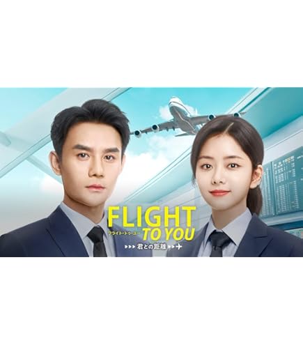 フライト・トゥ・ユー 君との距離 全巻セット DVD レンタル落ち 全20巻