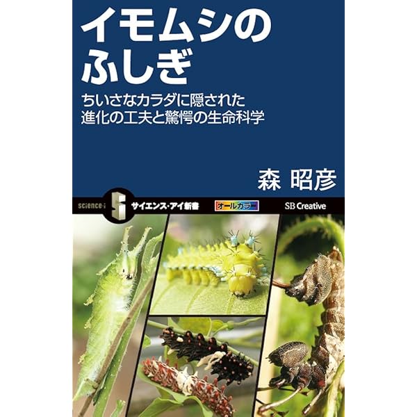 Amazon.co.jp: キモカワ! イモムシ超百科 (これマジ?ひみつの超百科 16