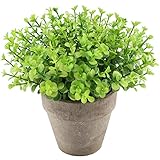 GTidea 人工観葉植物 ミニ 観葉植物 ユーカリ 観葉植物 鉢植え 紙製鉢（灰色）インテリア イミテーション 玄関 フェイクグリーン プレゼント お返し 結婚祝い 新築祝い 退職祝い 還暦祝い