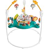 フィッシャープライス(fisher price) ゆかいなレインボーフォレストジャンパルー 【プレゼント】【首すわり～体重11.5㎏まで】 HPH48