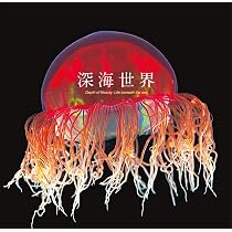 深海世界 | 編集協力:新江ノ島水族館 |本 | 通販 | Amazon