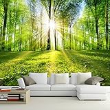 bzdhwwhフォト壁紙3dフォレストSunshine Nature Landscape壁画リビングルーム寝室テレビソファ背景壁Covering Murales de pared 3d 6957921