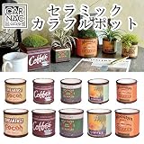 ガーデニンググッズ特集 　セラミックカラフルポットラウンド E－S 【4点】