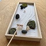 フリーズドライ苔(スナゴケ)付 【ミニ枯山水キット】