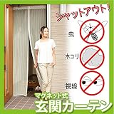 Dream 網戸カーテン マグネット式玄関用網戸 ホワイト100cm×210cm [並行輸入品]