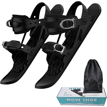 JOYRIDE ジョイライド ボードブーツファン + ビンディング + ケース