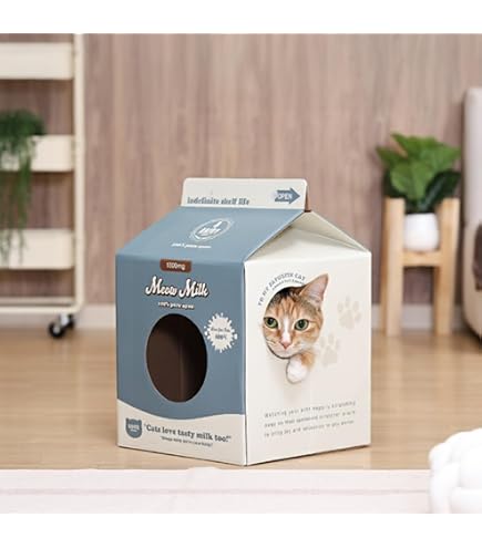 Amazon.co.jp: スモール・プラネット(Small Planet)クレヨンしんちゃん