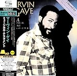 �~���[�W�J���E�e�X�^�����g