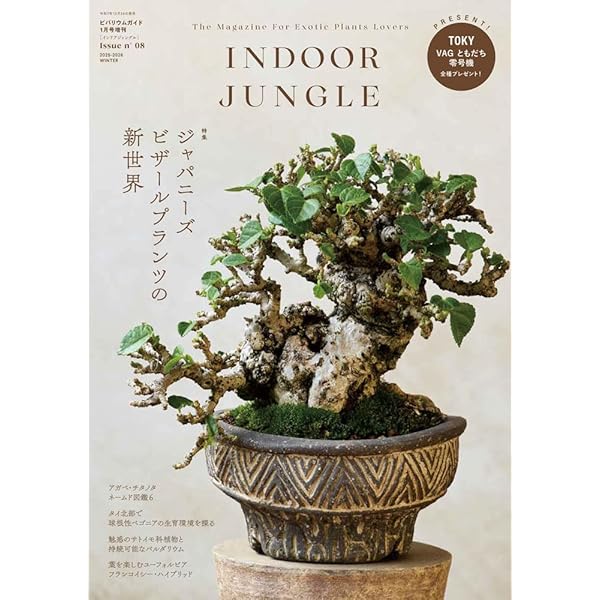 All about CAUDEX (三才ムックvol.922) | 横町 健 |本 | 通販 | Amazon