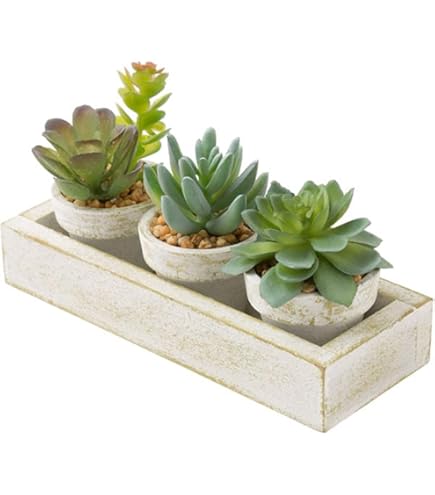 Amazon｜多肉植物 造花 寄せ植え ギフト 多肉フェイクグリーン