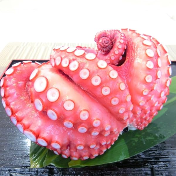 たこ 南三陸産 真たこ 1kg | 宮城県南三陸町 | ふるさと納税サイト「さとふる」