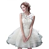 Amazon 花嫁ミニ ウェディングドレス 結婚式 披露宴 二次会 ウェディングドレス パーティードレス ビスチェ ウエディングドレス 二次会 ドレス ミニドレス パーティードレス 通販