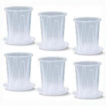 Amazon.co.jp: CHASO 透明鉢 6個セット 植木鉢 クリア プラスチック