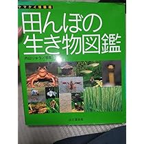 Amazon.co.jp: 田んぼの生き物図鑑 : おもちゃ