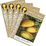 メロン Thai Muskmelon Cucumis melo Cucurbitaceae 4 Bulk ThailandMrk