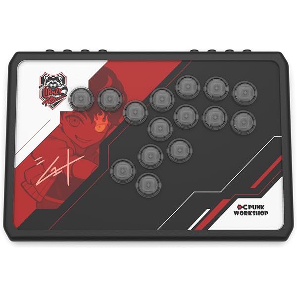 Amazon | Punk Workshop PWS R14 Leverless Controller box Support