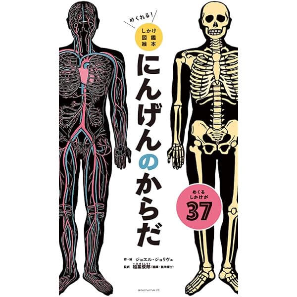 ポップアップ人体えほん: からだのふしぎがとびだすよ! | デビッド
