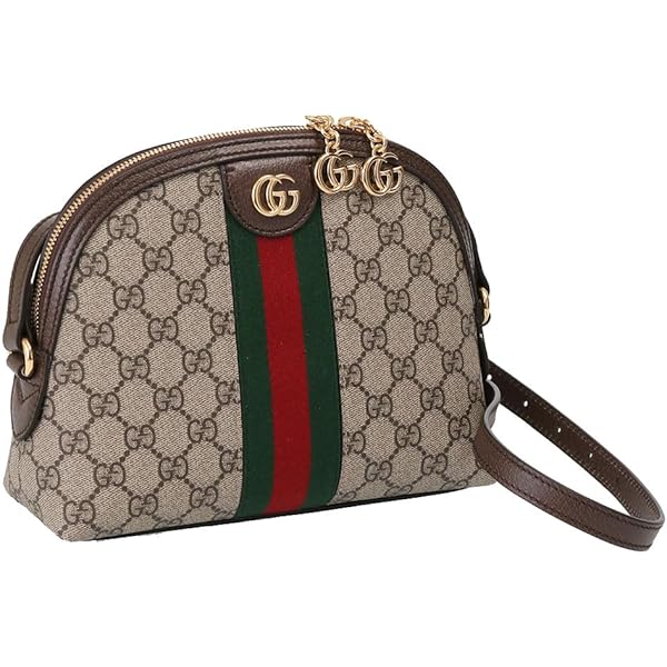 GUCCI　ショルダーバッグ　イタリア正規店購入品 22新作 グッチ GG柄 オフィディア ミニ ショルダーバッグ (GUCCI