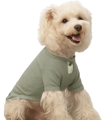Amazon | 【kamakuradog 鎌倉ドッグ】リバティプリントブラウス 犬服
