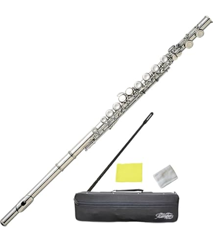 Amazon | Kaerntner ケルントナー フルート KFL-28 | フルート | 楽器