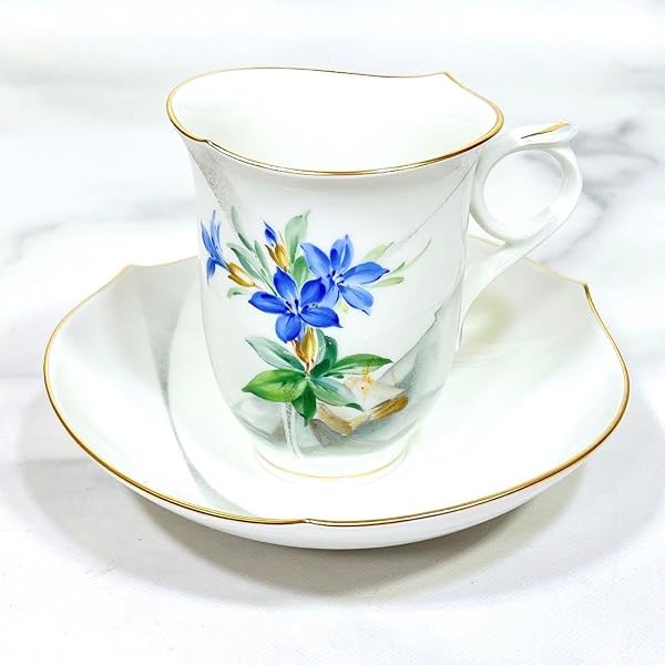 Amazon | 有田焼 コンポート 其泉作 賞美堂本店 朱唐草 盛り皿 花唐草 