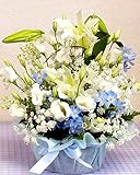 【お盆　お悔やみ 命日アレンジ】カサブランカとライトブルーの可憐なアレンジ 日時指定無料