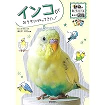 Amazon.co.jp: インコがおうちにやってきた! (動物の飼い方がわかる