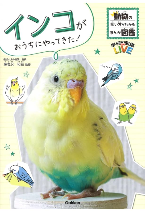 インコドリル | 三輪恭嗣, かんみ(kanmiQ) |本 | 通販 | Amazon