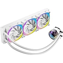 超絶希少❗️コーデックス❗️特大❗️アデニウム　アナコンダ✨ W.A Manda #htvpwam #platycerium #ビカクシダ #ビカクシダ普及