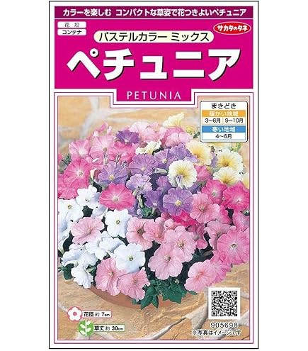 ペチュニア　いろいろミックス　種　20粒以上 Amazon.co.jp: ペチュニア いろいろミックス 種 20粒以上 : DIY・工具