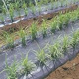 メデルシート 黒4110×長さ100m