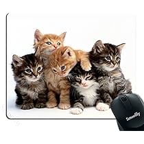 Smooffly Gaming Mouse Pad Custom,Palm Trees Beaches Mouse