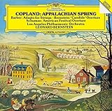 �R�[�v�����h:�A�p���`�A�̏t/�o�[���X�^�C��:�s�L�����f�B�[�h�t���ȁA��