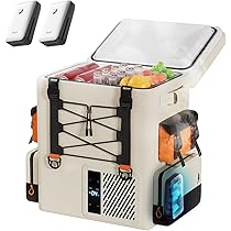 Amazon.co.jp: Litheli ポータブル冷蔵庫 車載冷蔵庫 16L -20℃～20