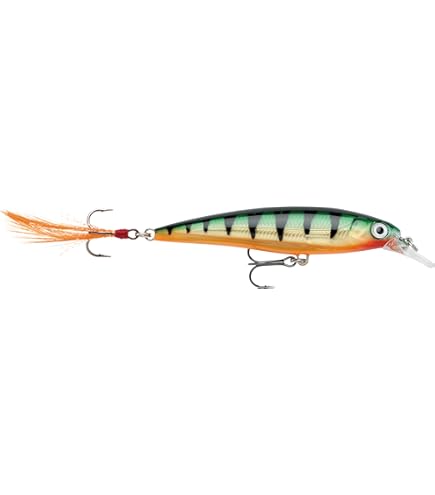 Amazon.co.jp: Rapala(ラパラ) ミノー Xラップ 8cm 7g ゴールド G XR8