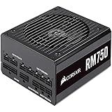 Corsair RM750-2019- 750W PC電源ユニット 80PLUS GOLD PS862 CP-9020195-JP