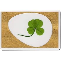 Amazon.co.jp: 本物四葉のクローバー 《Good Luck Pocket Token Amazon.co.jp: 本物四葉のクローバー 《Good Luck Pocket Token