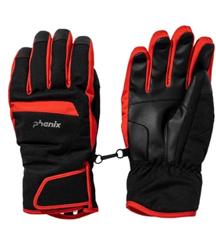 Amazon.co.jp: PHENIX スキー グローブ ESM23GL13 / Transcends Shade