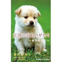 Amazon.co.jp: 天国の犬ものがたり~僕の魔法~ (小学館ジュニア文庫 ほ