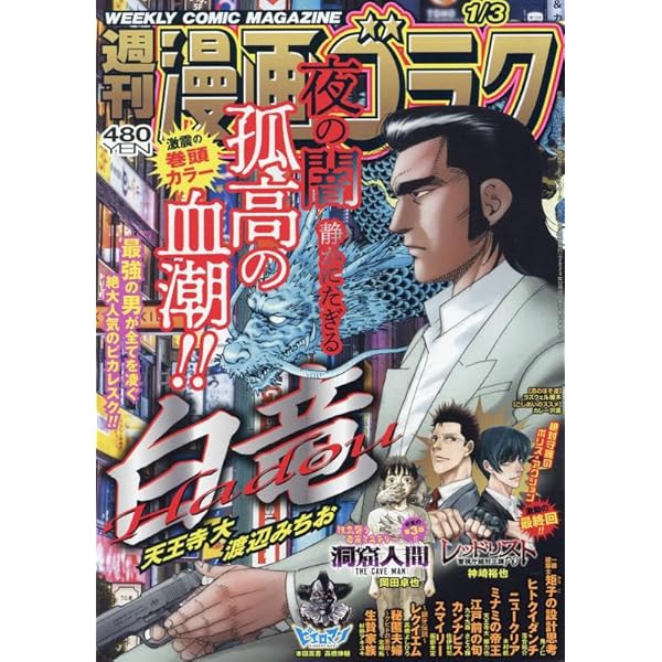 週刊 漫画ゴラク 2025年6月20日号 no.2953 Amazon.co.jp: 週刊漫画ゴラク (6月6日号 No.2951) : 本