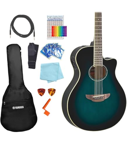 Amazon | ヤマハ APX600 ナチュラル YAMAHA エレアコ 6点