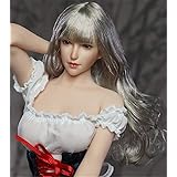 HiPlay Super Duck 1/6 フィギュア ドール 用 ヘッド 頭 植毛タイプ 塗装済 TBLeagueに対応 SDH017 (C)