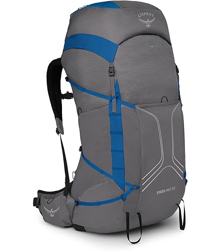 Amazon.co.jp: OSPREY(オスプレー) イーサープラス70 L-XL アクソー