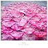 Aimer「Ref:rain / 眩いばかり(通常盤)」