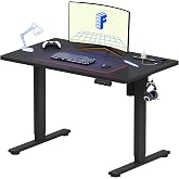 FlexiSpot 電動昇降デスク EF1Pro USB＆コンセント付き フック メモリ機能 耐荷重60kg 5年保証 100*60cm 黒+黒 | 天板100*60cm 充電可能 収納 在宅ワーク オフィス用 高さ調節 安定 足(ブラック）+天板(