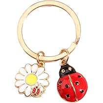 61KIzrA5QKL._AC_UL210_SR210,