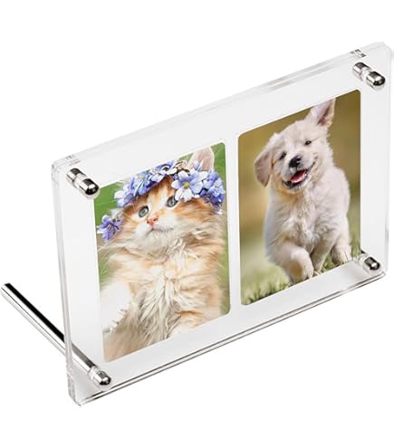 Amazon.co.jp: G絢爛 V-UNION対応 4連スクリューダウン 「フルアート